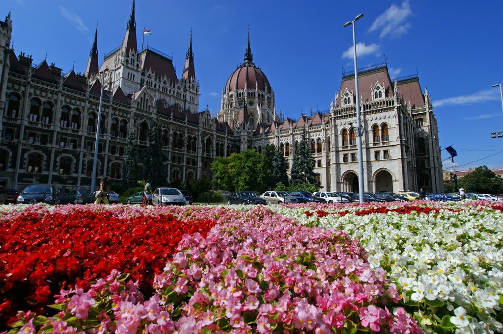 Summer in Budapest