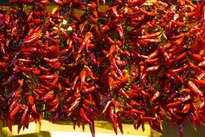 Paprika, a symbol of Hungary